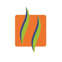 Han Digital Solution logo - Similar company to Researchfox Consulting