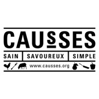 Causses logo - Similar company to Pc Domotic System