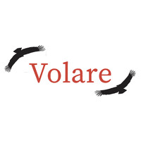 Volare Ltd logo - Similar company to Polymath Solutions Holding Group, Llc