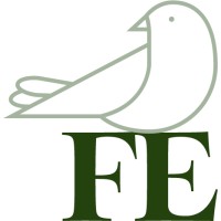 Flock Effect logo - Similar company to Zephyr Studios
