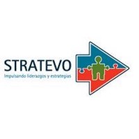 Stratevo logo - Similar company to Stratevo Consulting ©