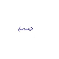 VADİ EMLAK GAYRİMENKUL YATIRIM ORTAKLIĞI logo - Similar company to Med Yapi İnşaat & Emlak