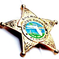 Walton County Sheriff's Office logo - Similar company to Brix Realty