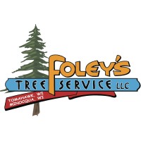FOLEY'S TREE SERVICE