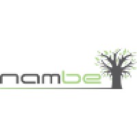 Nambe Financial Consultants logo - Similar company to De Vos Richards Abed Chartered Accountants (Sa) Registered Auditors