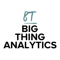 Big Thing Analytics logo - Similar company to Woosh