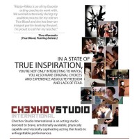 CHEKHOV STUDIO INTERNATIONAL LLC logo - Similar company to Varjo Management Oy