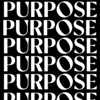 PURPOSE Net Zero logo - Similar company to Planning Perspectives Plus