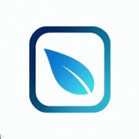 Blue Leaf Holdings logo - Similar company to Stonefield Capital