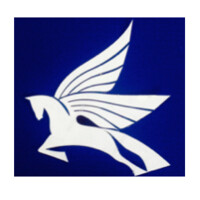 Pegasus Aluminium logo - Similar company to Spalling Worx