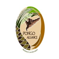 PONGO Alliance logo - Similar company to Palminnov Pte Ltd