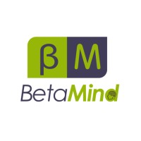 Betamind Education logo - Similar company to Achromic Point