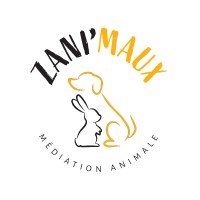 Zani'Maux logo - Similar company to Sifam Formations