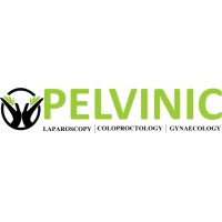 PELVINIC logo - Similar company to Cinetoon Studios