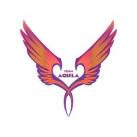 Team Aquila logo - Similar company to Gryphon Arrows