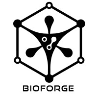 Bioforge Health logo - Similar company to Psionic Interactive Limited