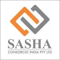 Sasha Parking System logo - Similar company to Soeasy Parking Solutions