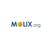 MolixOrg logo - Similar company to Sjk Strategies