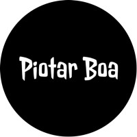 Piotar Boa logo - Similar company to Coderized