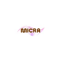 MICRA Consulting Solutions LLP logo - Similar company to Denken Research Consulting