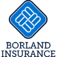 Borland Private Clients logo - Similar company to Meadway Group