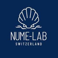 NUME-Lab USA logo - Similar company to Vs Outsourcing
