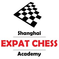 Shanghai Expat Chess Academy logo - Similar company to Nutterie