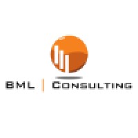BML Consulting logo - Similar company to We Are Hidden Limited