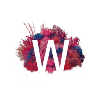 The W Place logo - Similar company to Tune Ind.