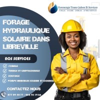 Forenergie Trans Gabon logo - Similar company to Rhema Services Pro