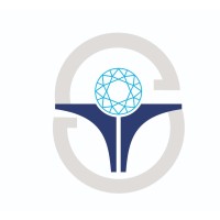 Touch Stone BV logo - Similar company to Manley