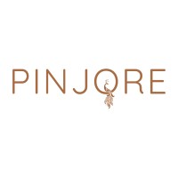 PINJORE INDIA logo - Similar company to Lushfab Jaipur