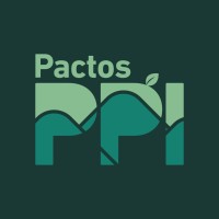 Pactos PPI logo - Similar company to Sa Solutions