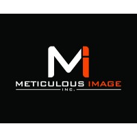 Meticulous Image logo - Similar company to Dataspindle Llc