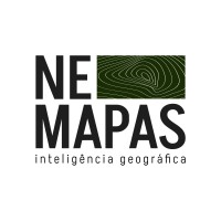 NE MAPAS Inteligência Geográfica logo - Similar company to Ls Engenharia Digital