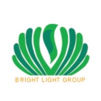 Bright Light Group Co Ltd logo - Similar company to Pt. Sampurna Agro Putra