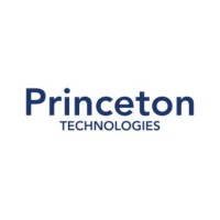 Princeton Technologies logo - Similar company to Netdecisions