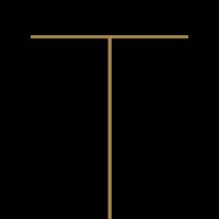 Tarida Capital logo - Similar company to Artasio Ag