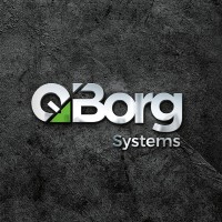 QBorg Systems logo - Similar company to Silva Selantes