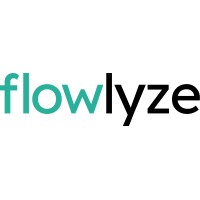 Flowlyze - Integrations Made Simple logo - Similar company to Dolcebot Srl
