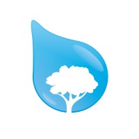 Bluestone Tree logo - Similar company to Solarx Llc