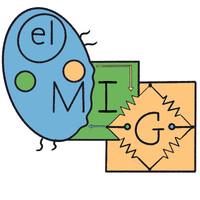 el Microbial Integration Group logo - Similar company to Stem Pathways