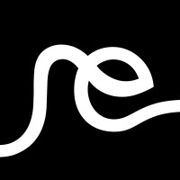 Risewave logo - Similar company to Md Fellowship