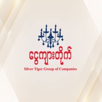 Silver Tiger Group of Companies logo - Similar company to Moderna Building Contracting