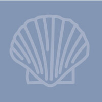 Holly Shae Design logo - Similar company to Muse & Moda Ltd.