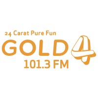 Gold FM 101.3-UAE logo - Similar company to Arn