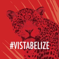 VISTA Real Estate logo - Similar company to Proghubs