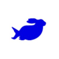 Fish&Rabbit - Creative Digital Design Agency