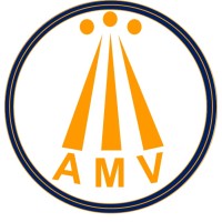 AMV Global Group logo - Similar company to Better Direct