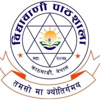 Vidhyabani Pathshala logo - Similar company to Bhatta Psychotherapy